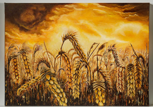 Wall Art Canvas Print Stormy golden sky with golden wheat field under.  Strong beautiful colours Wall Art Canvas Print Stormy Wheat Field with golden  colours and a sky brewing a dark and white light golden storm above.