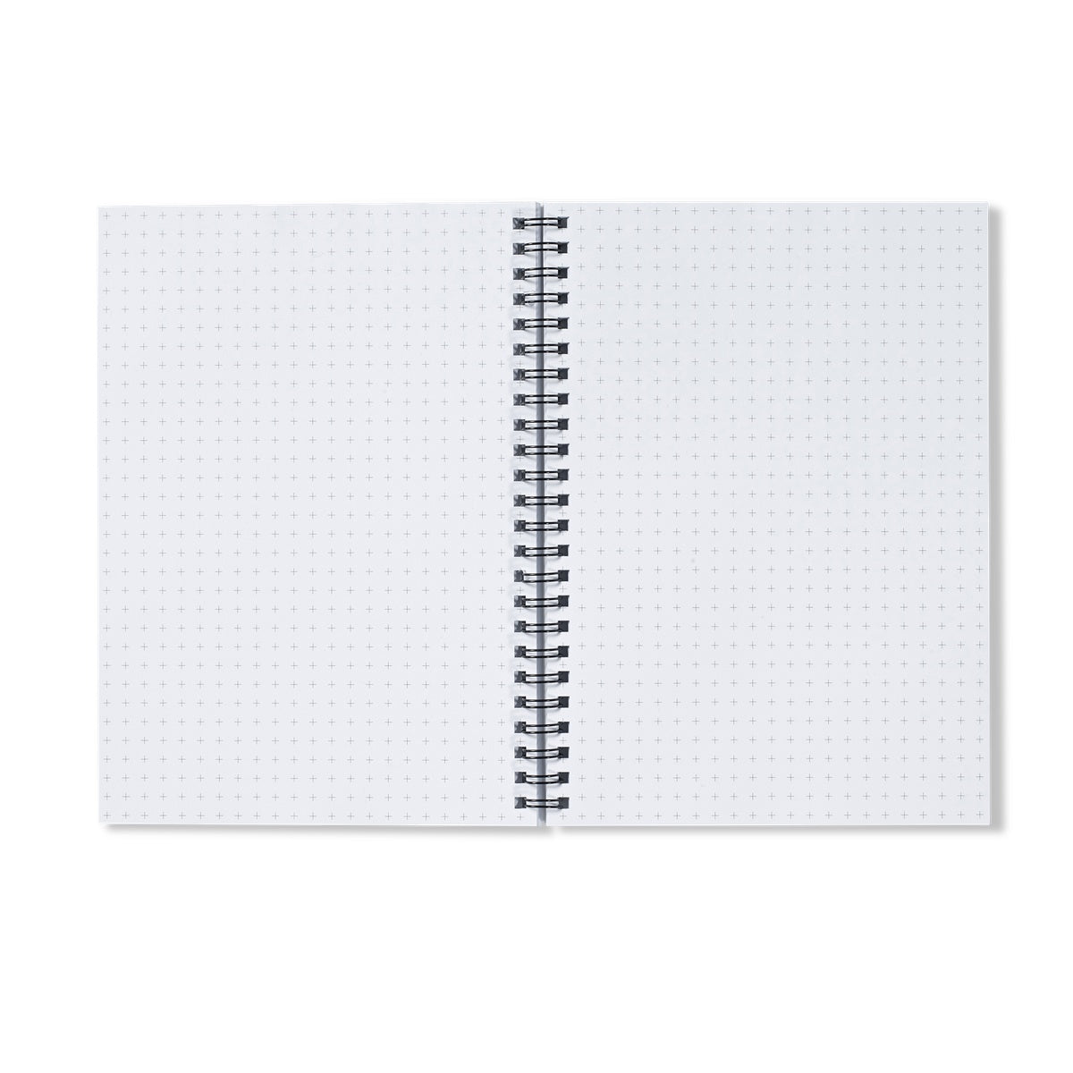 sheets of graph paper