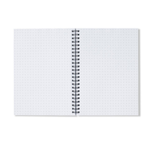 sheets of graph paper